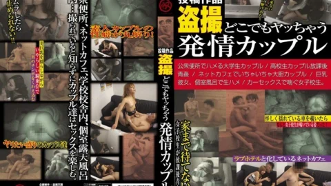 BAR-008 Voyeur estrus couple who gets fucked everywhere