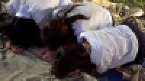 FC2-PPV-4561575 **18-year-old business students, threesome, legendary sex video. 5:44PM [12-hour limited]