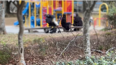 FC2-PPV-4821039 [Individual] ** A self-proclaimed influencer’s wife was playing with her friend in the park and was taken out in the car… ~ Bonus removed on December 31st