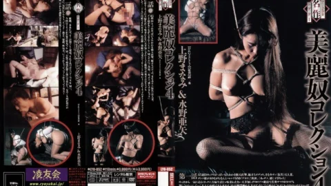 LYO-052 Art Video Masterpiece Theater Bireiko Collection 4