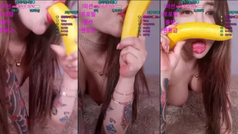 KBJ-23122811 kbj23122811_qtqtpt486_20230817