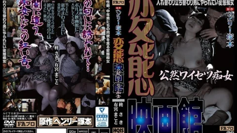 HQIS-046 Henry Tsukamoto Original Hentai Movie Theater Public Obscenity Slut