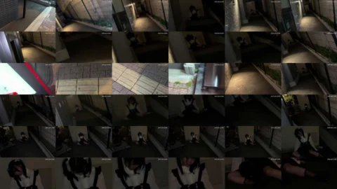 [UNCENSORED-LEAK] HMN-779 BITCH MELTDOWN Early Morning: Girls Sleeping on the Streets – The Host’s Return from Kabukicho, Shinku
