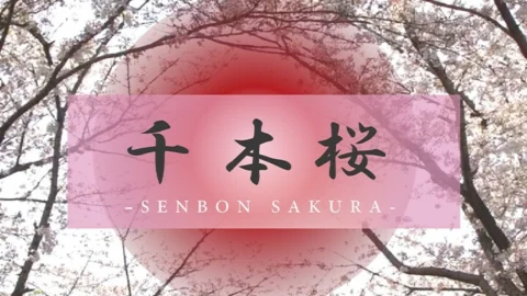 FC2-PPV-4493353 The consciousness is suppressed by sexual cuteness and the sexual desire that is tolerated lawlessly. A permanent keepsake for all your favorite TikTokers. Saki 20 years old