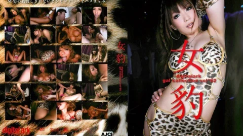 KCDA-009 woman leopard digitalark gal collection vol*02
