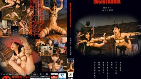TKI-017 MASOTRONIX