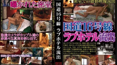 SPZ-303 Route 16 love hotel outflow