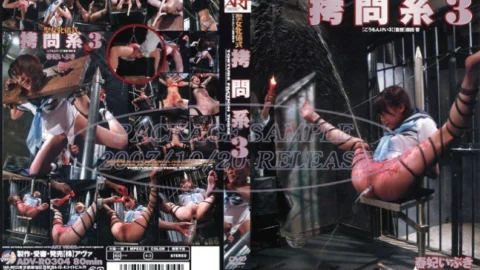ADV-R0304 Holy Female Ceremony play System 3