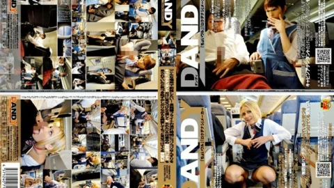 DANDY-150 “I want to ejaculate in a place like this! When the cabin attendant showed me how to sneak around when the lights were off on a long-distance flight, I was gently fucked.” Blonde CA showing off even more” VOL.1