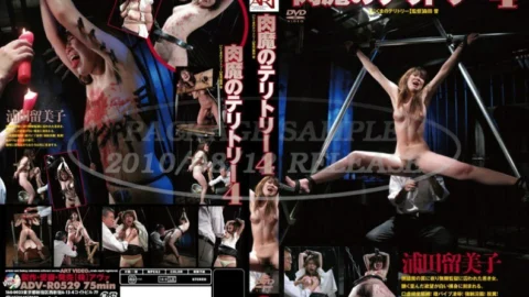 ADV-R0529 Nikuma’s Territory 4