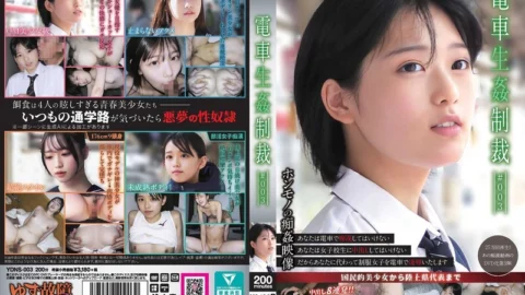 YDNS-003 Train Sex Punishment #003