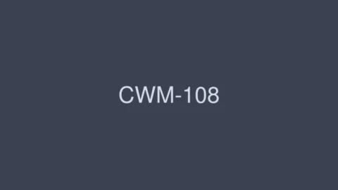 CWM-108 I Hate Teachers Rin Hanai Ryo Takamiya