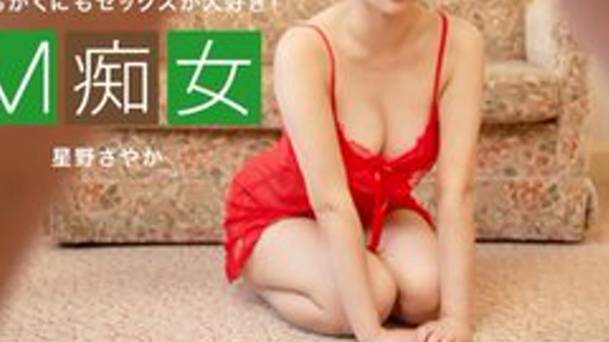 sextop1 — 1PONDO-031624-001 1Pondo-031624_001 — M Slut Sayaka Hoshino — khung hình 3