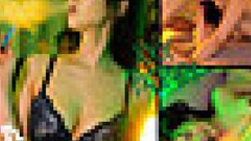 sextop1 — [UNCENSORED-LEAK] 826PKPK-121 Nokaze — khung hình 3