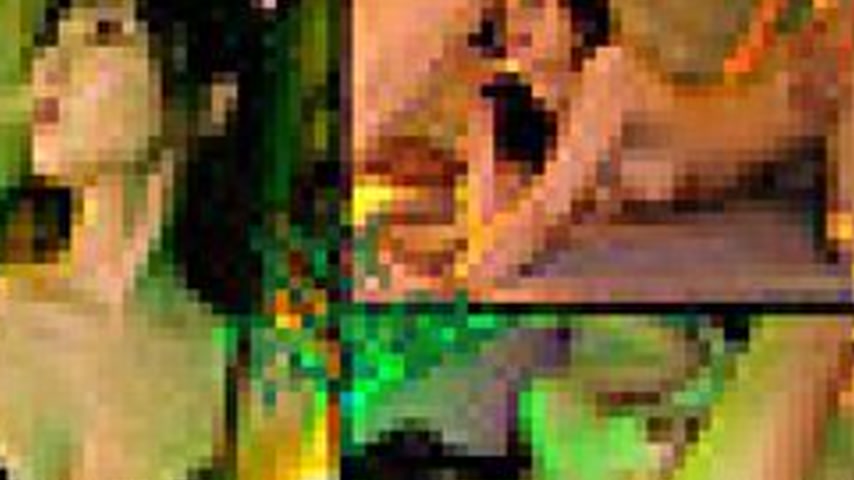 sextop1 — [UNCENSORED-LEAK] 826PKPK-121 Nokaze — khung hình 4