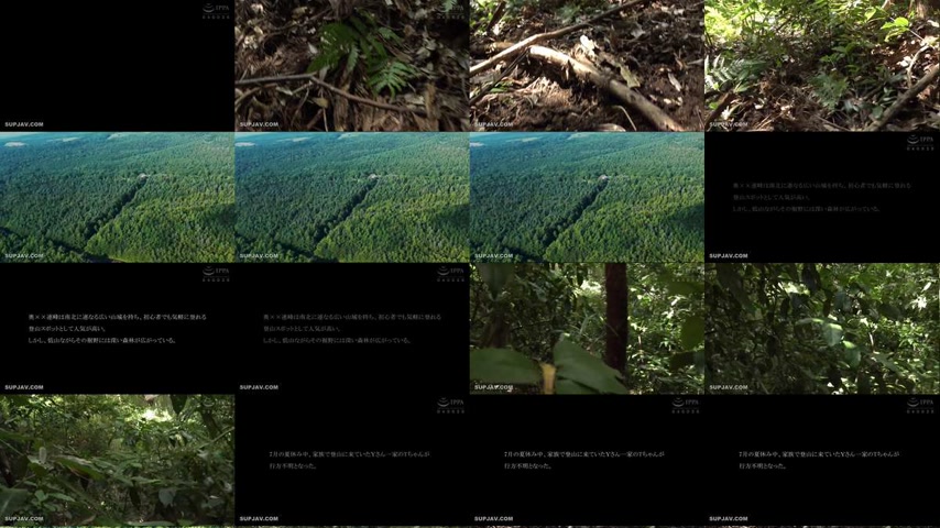 sextop1 — [UNCENSORED-LEAK] DDK-236 Forest of Desire: I Found a Lost N — khung hình 1