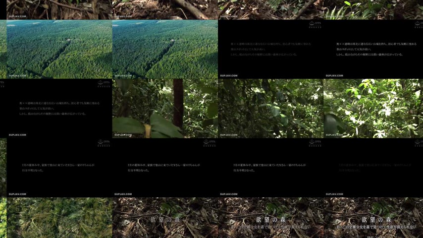 sextop1 — [UNCENSORED-LEAK] DDK-236 Forest of Desire: I Found a Lost N — khung hình 2