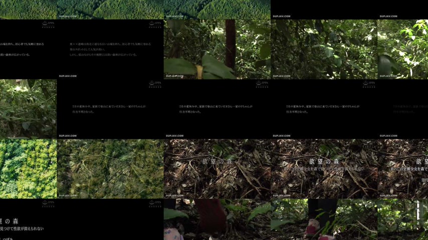 sextop1 — [UNCENSORED-LEAK] DDK-236 Forest of Desire: I Found a Lost N — khung hình 3
