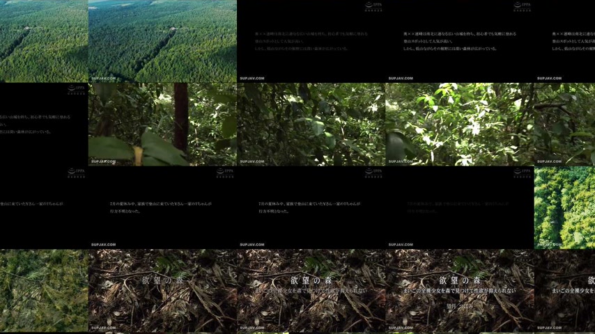 sextop1 — [UNCENSORED-LEAK] DDK-236 Forest of Desire: I Found a Lost N — khung hình 4