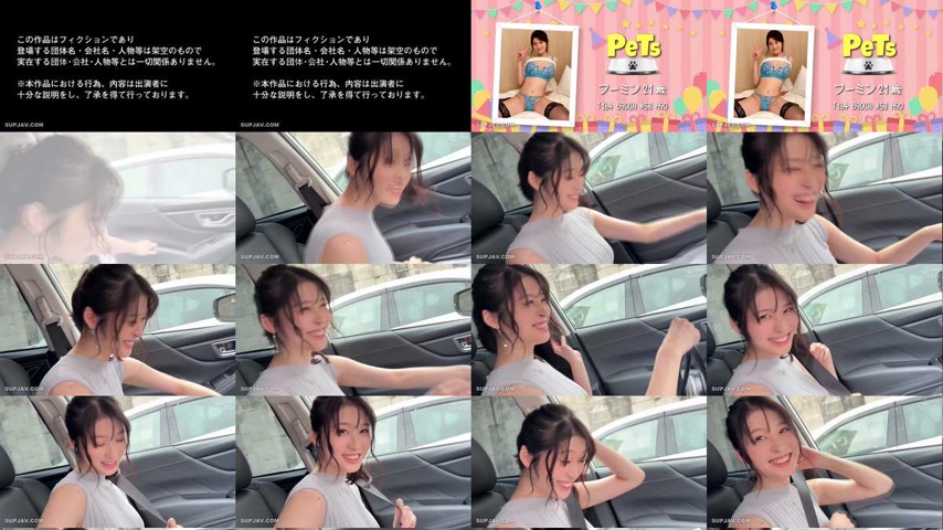 sextop1 — [UNCENSORED-LEAK] HPET-016 Hoihoi Pet 16 Amateur Hoihoi, Hoi — khung hình 1