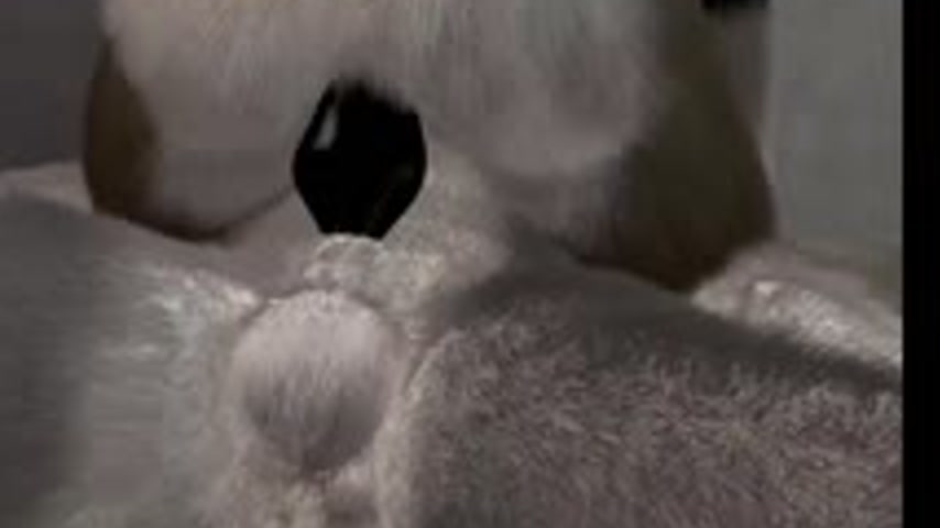 sextop1 — Anime monster shoves his big cock inside a cute thing — khung hình 4