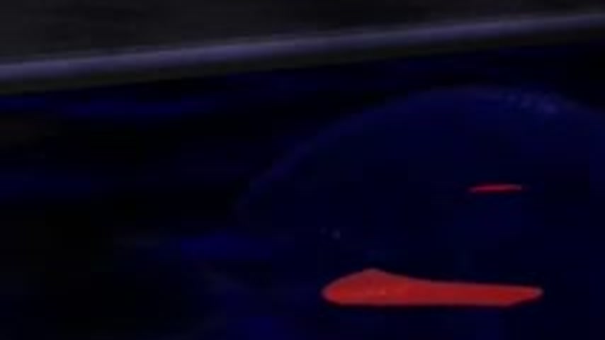 sextop1 — Cartoon porn clip featuring a busty blonde cougar — khung hình 1