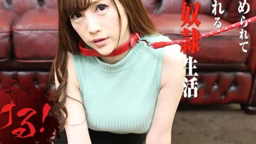 sextop1 — CARIBBEANCOM-091920-001 Caribbeancom-091920-001 – Tami — khung hình 4