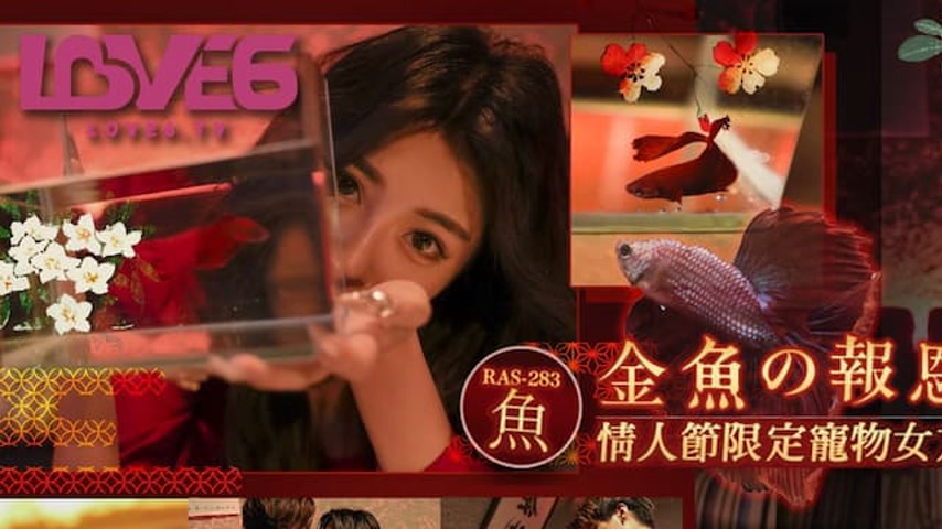 sextop1 — RAS-0283 The Goldfish’s Repayment: Valentine’s D — khung hình 1