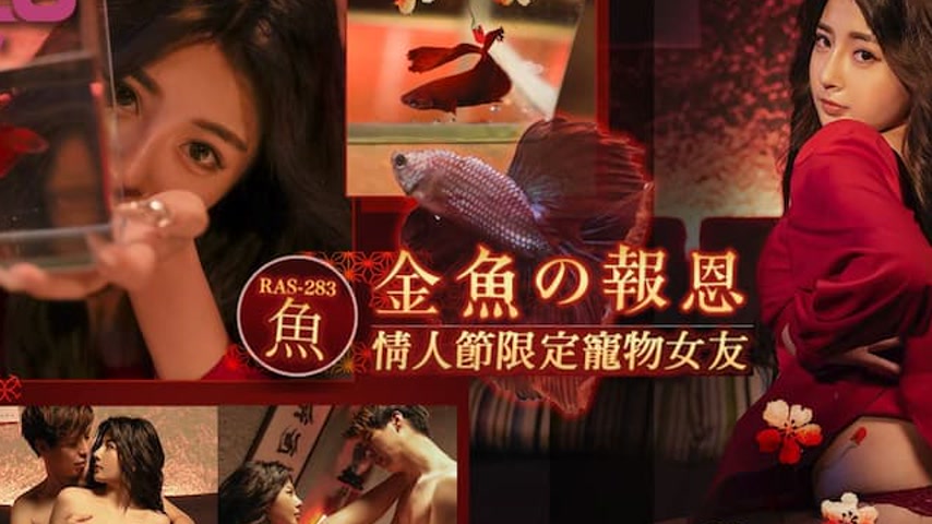 sextop1 — RAS-0283 The Goldfish’s Repayment: Valentine’s D — khung hình 2