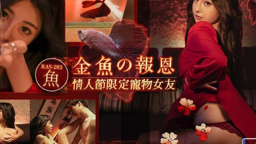 sextop1 — RAS-0283 The Goldfish’s Repayment: Valentine’s D — khung hình 4