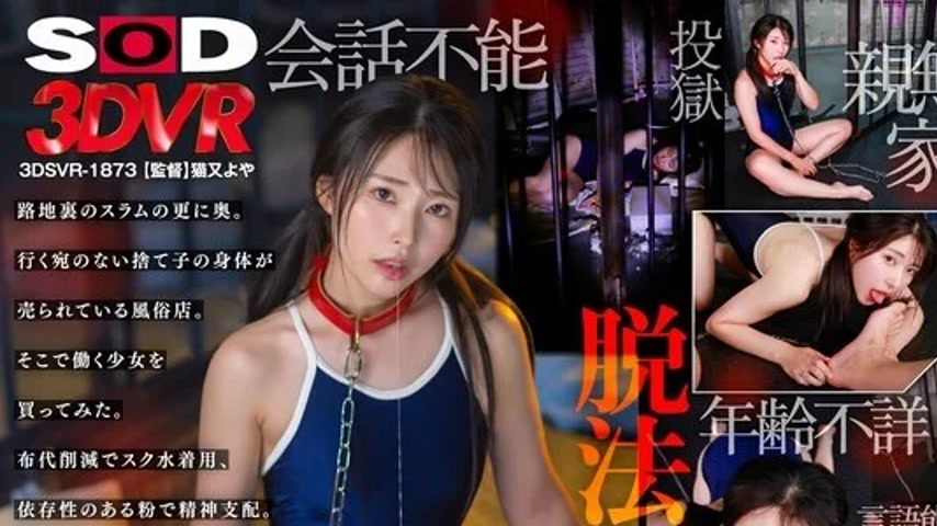 sextop1 — 3DSVR-1873 3DSVR-1873 – [Vr] [8K] Illegal School Swims — khung hình 1