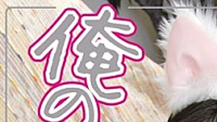 sextop1 — ALB-158 My Niece!Hinata Cum Big Brother To The Daughter Of — khung hình 1