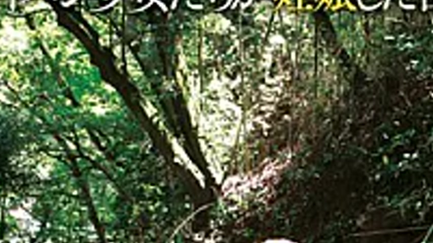 sextop1 — T28-379 Orgy Incidents Shaved Girls Attending A Boarding-sch — khung hình 3
