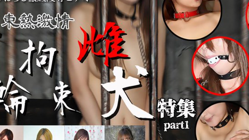 sextop1 — n1312 Tokyo Hot Tokyo Hot Collars and Beauty =part1= — khung hình 2