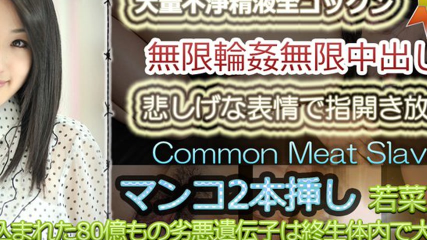 sextop1 — n0753 Tokyo Hot Common Meat Slave — khung hình 4