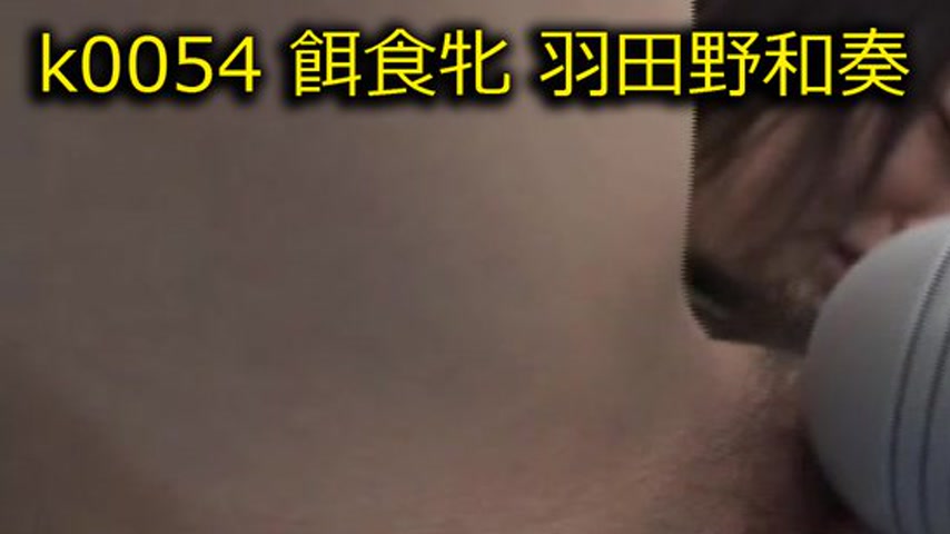 sextop1 — k0054 Tokyo Hot Go Hunting! — Wakana Hatano — khung hình 1