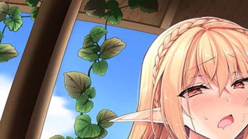 sextop1 — Elf ni Inmon o Tsukeru Hon The Animation Episode 2 — khung hình 1