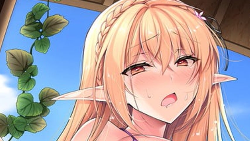 sextop1 — Elf ni Inmon o Tsukeru Hon The Animation Episode 2 — khung hình 2