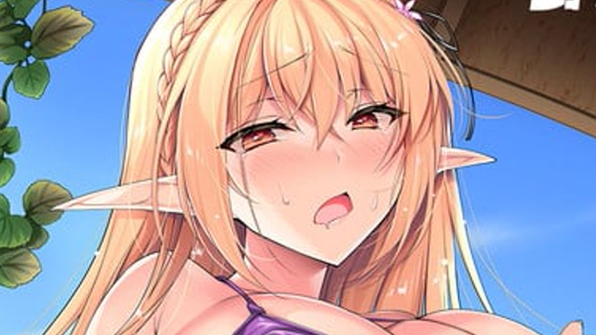 sextop1 — Elf ni Inmon o Tsukeru Hon The Animation Episode 2 — khung hình 4