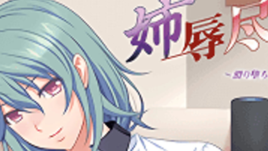 sextop1 — Ane Jiyoku Tsukushi: Nee-san no Shitagi 1 — khung hình 2