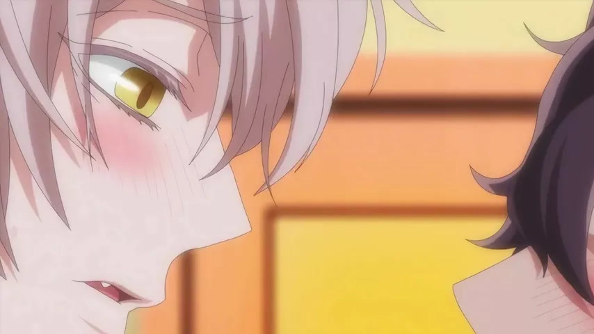 sextop1 — Mori no Kuma-san, Toumin-chuu. Ep 5 — khung hình 1