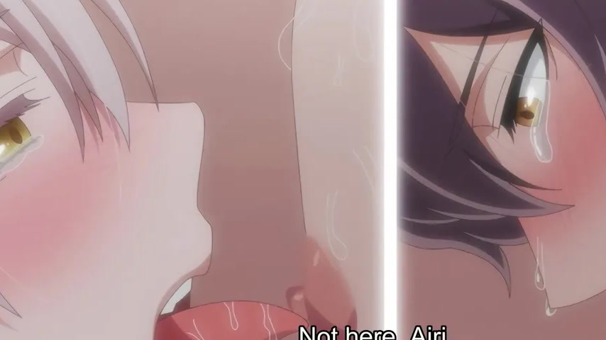 sextop1 — Mori no Kuma-san, Toumin-chuu. Ep 9 — khung hình 3