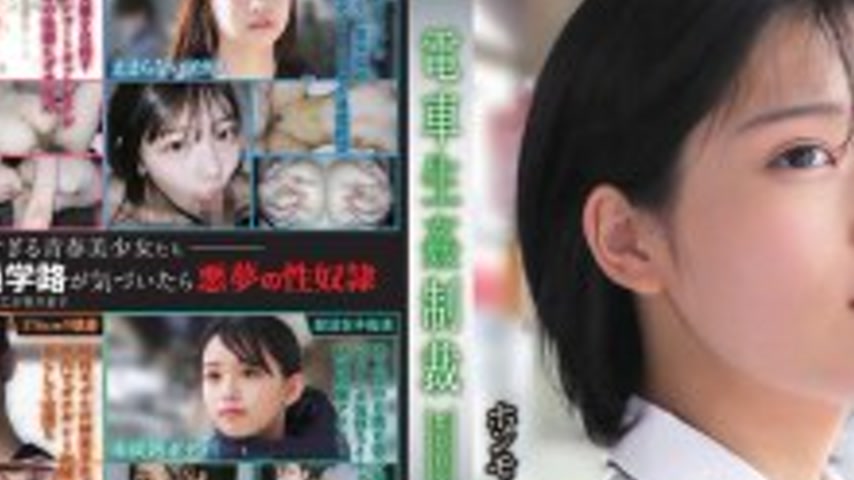 sextop1 — YDNS-003 Train Sex Punishment #003 — khung hình 2