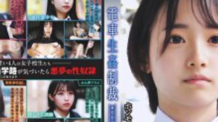 sextop1 — YDNS-002 Train Sex Punishment #002 — khung hình 2