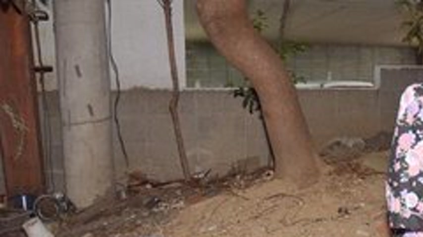 sextop1 — CARIBBEANCOMPR-101117-001 Caribbeancompr-101117_001 — Tobikk — khung hình 1