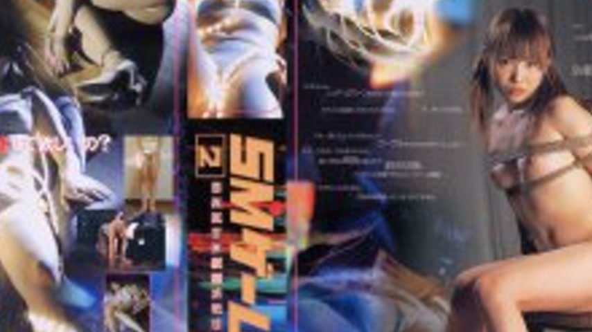 sextop1 — CO-002 SM Game [2] SAKI’s Virtual Memory Saki Muto — khung hình 4