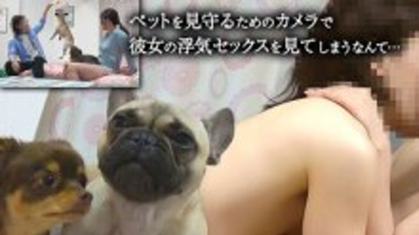 sextop1 — BDST-065 Cheating sex voyeurism: The whole story of a pet ca — khung hình 1